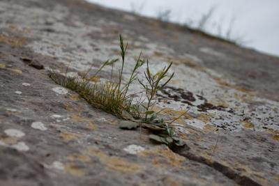 Прикрепленное изображение: IMG_2163.jpg